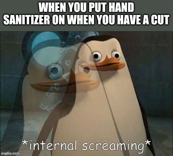 Relatable? Anybody? | WHEN YOU PUT HAND SANITIZER ON WHEN YOU HAVE A CUT | image tagged in rico internal screaming | made w/ Imgflip meme maker