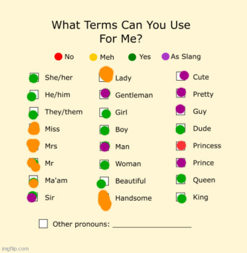 . | image tagged in pronouns sheet | made w/ Imgflip meme maker