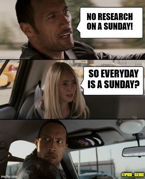 No work on a Sunday | NO RESEARCH ON A SUNDAY! SO EVERYDAY IS A SUNDAY? @PHD_GENIE | image tagged in the rock driving car | made w/ Imgflip meme maker