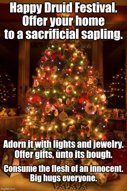 Happy holidays. | Happy Druid Festival. Offer your home to a sacrificial sapling. Adorn it with lights and jewelry.
Offer gifts, unto its bough. Consume the flesh of an innocent.
Big hugs everyone. | image tagged in christmas tree | made w/ Imgflip meme maker