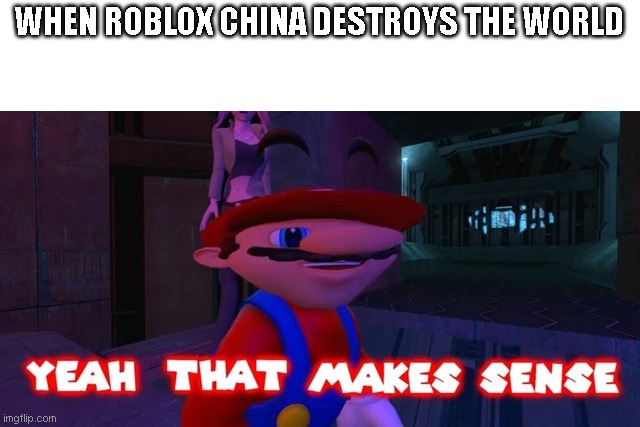 that makes REAL sense | WHEN ROBLOX CHINA DESTROYS THE WORLD | image tagged in mario that make sense | made w/ Imgflip meme maker
