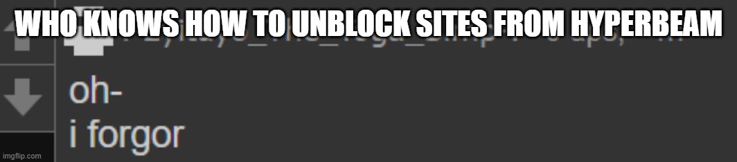 i forgor- | WHO KNOWS HOW TO UNBLOCK SITES FROM HYPERBEAM | image tagged in i forgor- | made w/ Imgflip meme maker