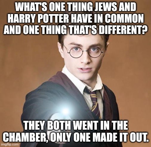 This one is especially dark, scroll past if you don't like holocaust jokes |  WHAT'S ONE THING JEWS AND HARRY POTTER HAVE IN COMMON AND ONE THING THAT'S DIFFERENT? THEY BOTH WENT IN THE CHAMBER, ONLY ONE MADE IT OUT. | image tagged in harry potter casting a spell,dark mode,jews,harry potter | made w/ Imgflip meme maker