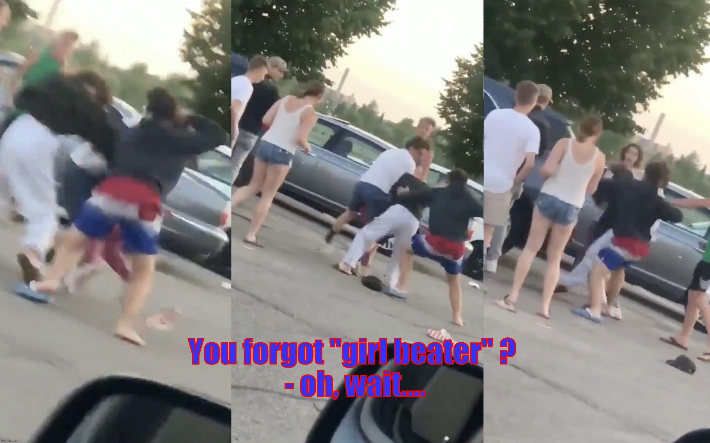 Rittenhouse fight girl | You forgot "girl beater" ? 
- oh, wait.... | image tagged in rittenhouse fight girl | made w/ Imgflip meme maker