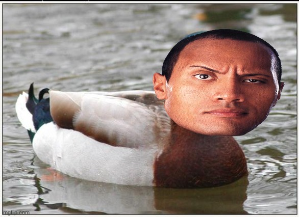dwayne "the duck" johnson | image tagged in memes,actual advice mallard | made w/ Imgflip meme maker