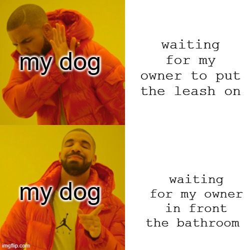 Still don't know why you do it my dog lol | my dog; waiting for my owner to put the leash on; my dog; waiting for my owner in front the bathroom | image tagged in memes,drake hotline bling | made w/ Imgflip meme maker