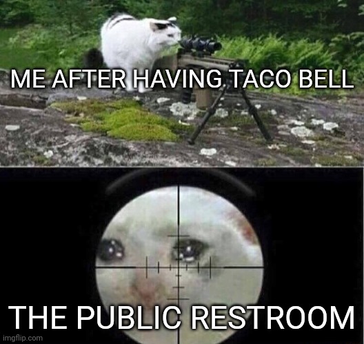 Taco bell | ME AFTER HAVING TACO BELL; THE PUBLIC RESTROOM | image tagged in sniper cat,funny | made w/ Imgflip meme maker