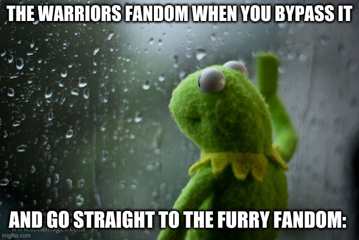 kermit window | THE WARRIORS FANDOM WHEN YOU BYPASS IT; AND GO STRAIGHT TO THE FURRY FANDOM: | image tagged in kermit window | made w/ Imgflip meme maker