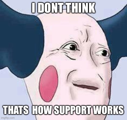 Confused mime | I DONT THINK THATS  HOW SUPPORT WORKS | image tagged in confused mime | made w/ Imgflip meme maker