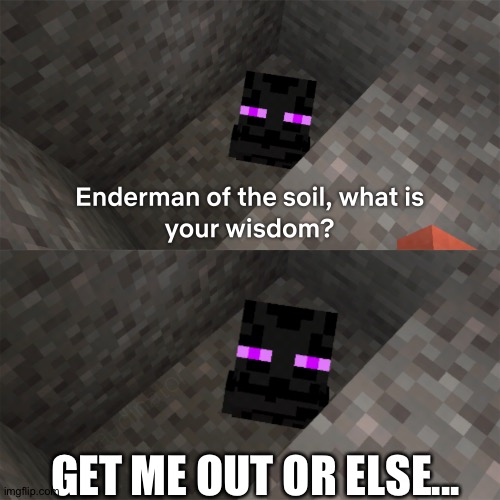 Enderman of the soil | GET ME OUT OR ELSE... | image tagged in enderman of the soil | made w/ Imgflip meme maker