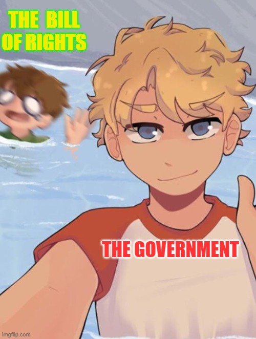 Tommyinnit Ignores Tubbo |  THE  BILL OF RIGHTS; THE GOVERNMENT | image tagged in tommyinnit ignores tubbo | made w/ Imgflip meme maker