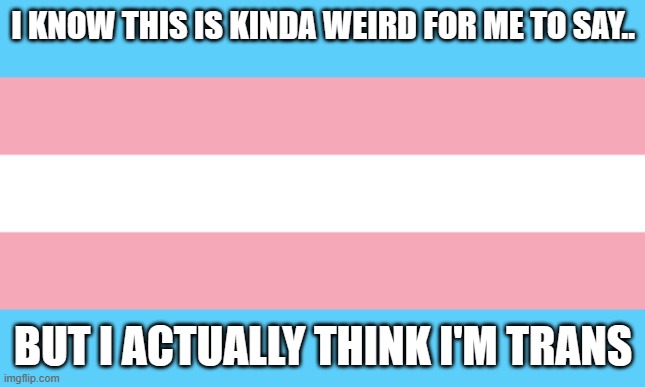 I mean, my voice IS in between male and female at the moment.. so maybe I am??? | I KNOW THIS IS KINDA WEIRD FOR ME TO SAY.. BUT I ACTUALLY THINK I'M TRANS | image tagged in trans flag | made w/ Imgflip meme maker