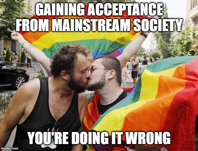 GAINING ACCEPTANCE FROM MAINSTREAM SOCIETY YOU'RE DOING IT WRONG | made w/ Imgflip meme maker