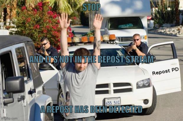 Repost Police | STOP A REPOST HAS BEEN DETECTED AND IT’S NOT IN THE REPOST STREAM | image tagged in repost police | made w/ Imgflip meme maker
