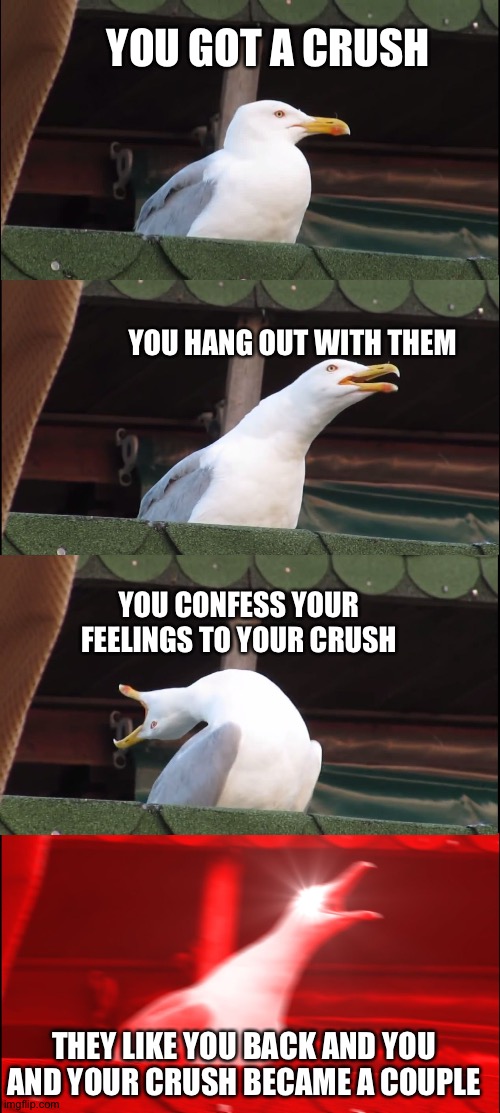 Inhaling Seagull Meme | YOU GOT A CRUSH; YOU HANG OUT WITH THEM; YOU CONFESS YOUR FEELINGS TO YOUR CRUSH; THEY LIKE YOU BACK AND YOU AND YOUR CRUSH BECAME A COUPLE | image tagged in memes,inhaling seagull | made w/ Imgflip meme maker