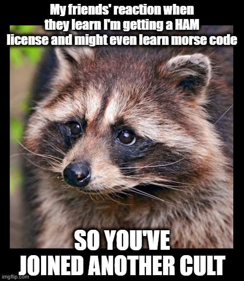 Amature Radio! | My friends' reaction when they learn I'm getting a HAM license and might even learn morse code; SO YOU'VE JOINED ANOTHER CULT | image tagged in amature radio,ham,ham radio,cw,simplex | made w/ Imgflip meme maker