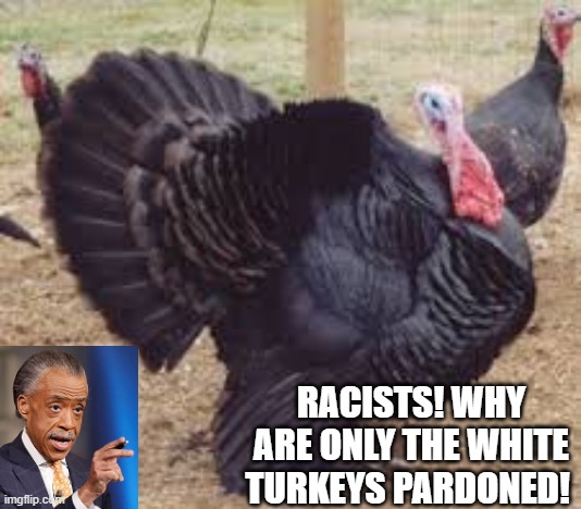 RACISTS! WHY ARE ONLY THE WHITE TURKEYS PARDONED! | made w/ Imgflip meme maker