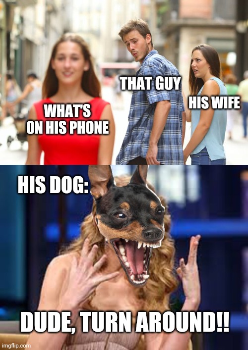 WHAT'S ON HIS PHONE THAT GUY HIS WIFE HIS DOG: DUDE, TURN AROUND!! | image tagged in memes,distracted boyfriend,taylor swift omg dog | made w/ Imgflip meme maker