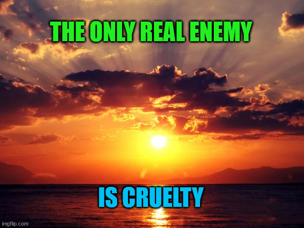 Sunset | THE ONLY REAL ENEMY; IS CRUELTY | image tagged in sunset | made w/ Imgflip meme maker