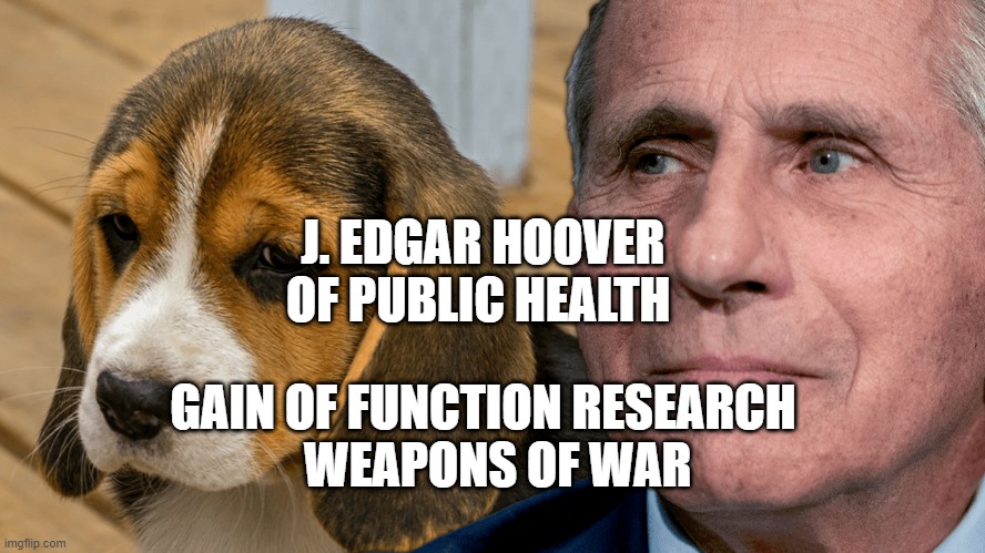 Fauci's Ouchie | J. EDGAR HOOVER OF PUBLIC HEALTH; GAIN OF FUNCTION RESEARCH       WEAPONS OF WAR | image tagged in fauci's ouchie | made w/ Imgflip meme maker