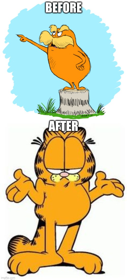 or something | BEFORE; AFTER | made w/ Imgflip meme maker