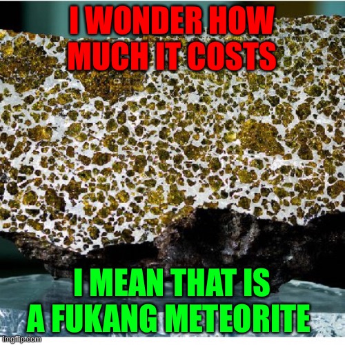 I WONDER HOW MUCH IT COSTS I MEAN THAT IS A FUKANG METEORITE | made w/ Imgflip meme maker