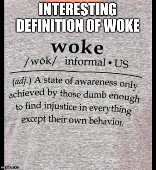 INTERESTING DEFINITION OF WOKE | image tagged in political meme,woke,protesting by spoiled white people | made w/ Imgflip meme maker
