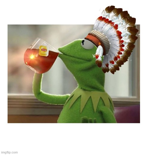 image tagged in native american kermit | made w/ Imgflip meme maker