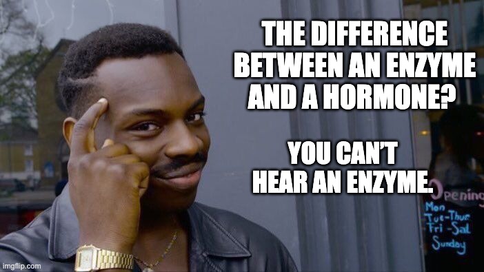 The quickest way to hear a hormone is to refuse to pay her. | THE DIFFERENCE BETWEEN AN ENZYME AND A HORMONE? YOU CAN’T HEAR AN ENZYME. | image tagged in memes,roll safe think about it | made w/ Imgflip meme maker