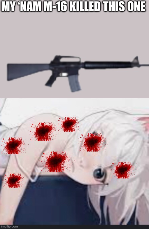 MY ‘NAM M-16 KILLED THIS ONE | image tagged in no anime allowed | made w/ Imgflip meme maker