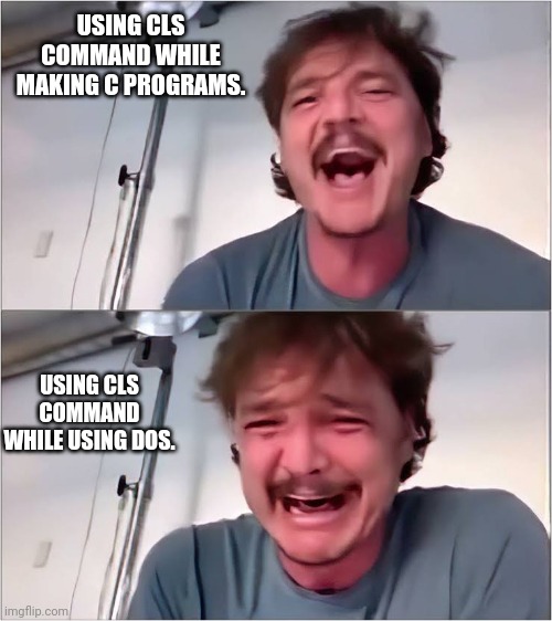 Life of BCA students ? | USING CLS COMMAND WHILE MAKING C PROGRAMS. USING CLS COMMAND WHILE USING DOS. | image tagged in pedro pascal | made w/ Imgflip meme maker