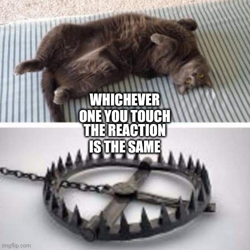 Cat trap | WHICHEVER ONE YOU TOUCH; THE REACTION IS THE SAME | image tagged in cat,trap,claws,bear trap,murder mittens,cat claws | made w/ Imgflip meme maker