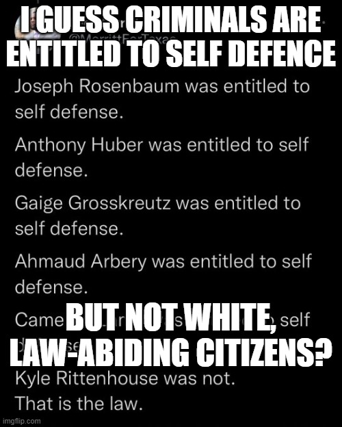 How do we deal with this progressive mindset? | I GUESS CRIMINALS ARE ENTITLED TO SELF DEFENCE; BUT NOT WHITE, LAW-ABIDING CITIZENS? | image tagged in progressive,brainwashed,leftists | made w/ Imgflip meme maker
