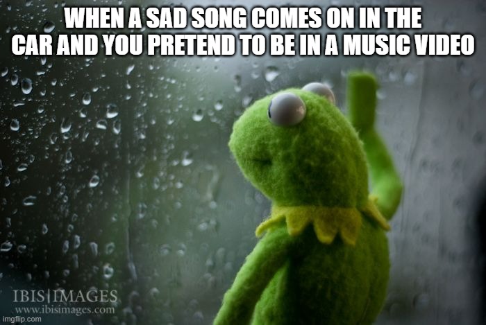 I do this a lot | WHEN A SAD SONG COMES ON IN THE CAR AND YOU PRETEND TO BE IN A MUSIC VIDEO | image tagged in kermit window | made w/ Imgflip meme maker