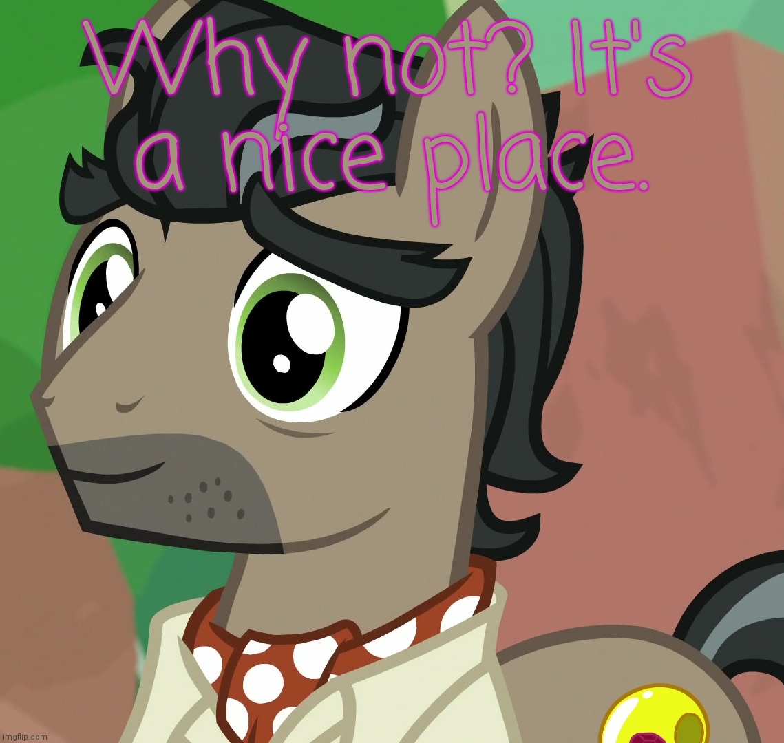 Happy Caballeron (MLP) | Why not? It's a nice place. | image tagged in happy caballeron mlp | made w/ Imgflip meme maker