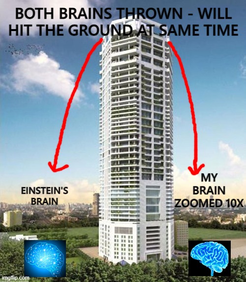 Only Solace in Life | BOTH BRAINS THROWN - WILL HIT THE GROUND AT SAME TIME; EINSTEIN'S BRAIN; MY BRAIN ZOOMED 10X | image tagged in funny,funny memes,lol so funny | made w/ Imgflip meme maker