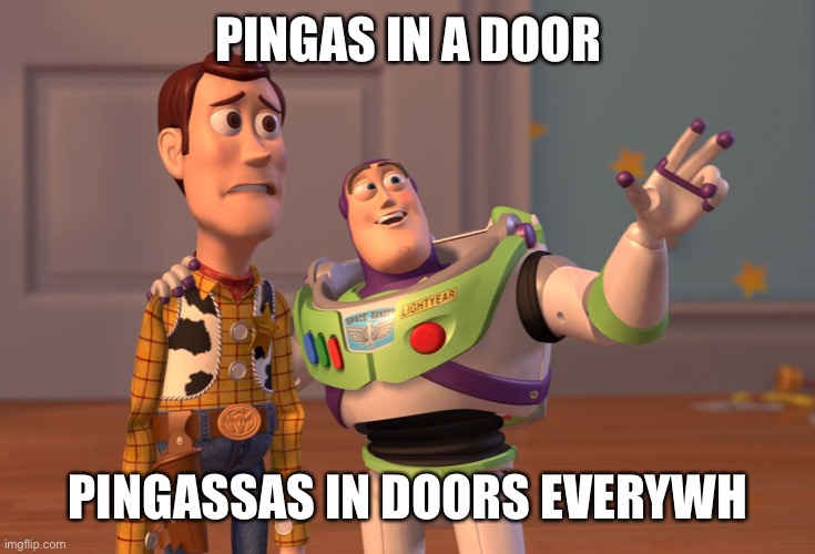 X, X Everywhere Meme | PINGAS IN A DOOR PINGASSAS IN DOORS EVERYWHERE | image tagged in memes,x x everywhere | made w/ Imgflip meme maker