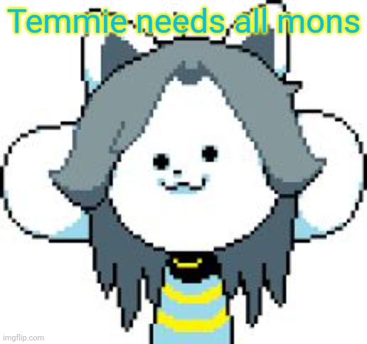 TEMMIE | Temmie needs all mons | image tagged in temmie | made w/ Imgflip meme maker