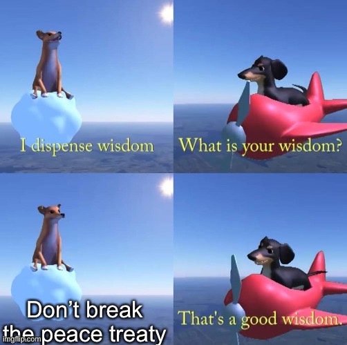 Wisdom dog | Don’t break the peace treaty | image tagged in wisdom dog | made w/ Imgflip meme maker