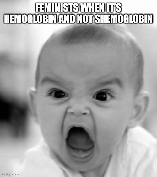 Angry Baby Meme |  FEMINISTS WHEN IT’S HEMOGLOBIN AND NOT SHEMOGLOBIN | image tagged in memes,angry baby | made w/ Imgflip meme maker