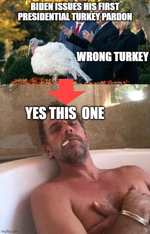 off limits hell no | BIDEN ISSUES HIS FIRST PRESIDENTIAL TURKEY PARDON; WRONG TURKEY; YES THIS  ONE | image tagged in turkey day | made w/ Imgflip meme maker
