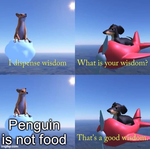 Wisdom dog | Penguin is not food | image tagged in wisdom dog | made w/ Imgflip meme maker