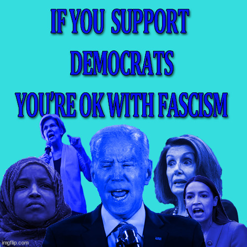 Are you ok with these fascists? | image tagged in democratic socialism,fascism | made w/ Imgflip meme maker
