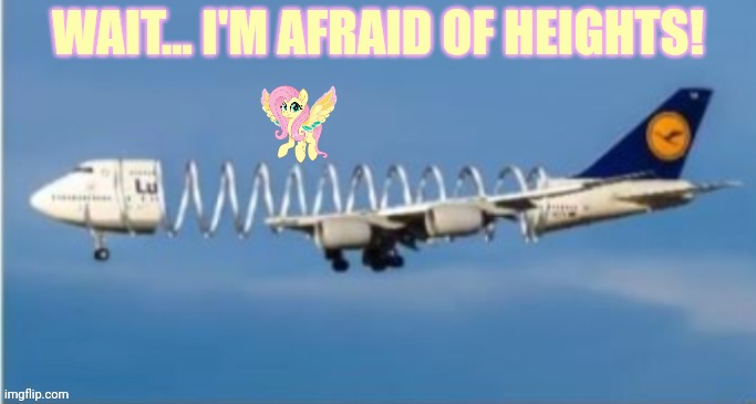 Poor Fluttershy | WAIT... I'M AFRAID OF HEIGHTS! | image tagged in fluttershy,scared,afraid of heights,my little pony | made w/ Imgflip meme maker