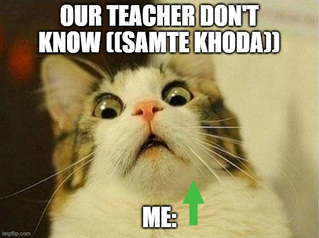 Scared Cat Meme | OUR TEACHER DON'T KNOW ((SAMTE KHODA)); ME: | image tagged in memes,scared cat | made w/ Imgflip meme maker