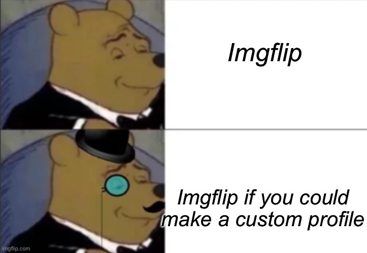 I am new. If you can make a custom one plz tell me. | Imgflip; Imgflip if you could make a custom profile | image tagged in two fancy s | made w/ Imgflip meme maker