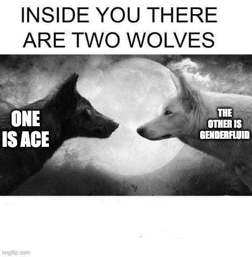 Inside you there are two wolves | ONE IS ACE THE OTHER IS GENDERFLUID | image tagged in inside you there are two wolves | made w/ Imgflip meme maker