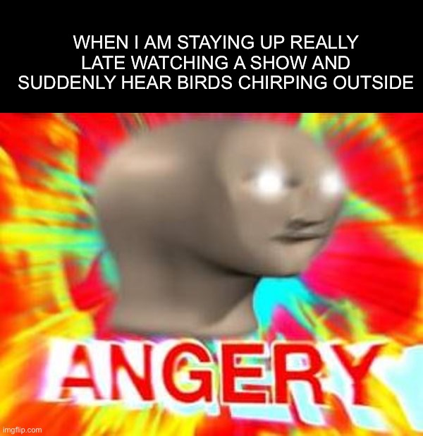 Looks like I can’t continue my binge-watching :( |  WHEN I AM STAYING UP REALLY LATE WATCHING A SHOW AND SUDDENLY HEAR BIRDS CHIRPING OUTSIDE | image tagged in surreal angery,memes,funny,relatable memes,relatable,lmao | made w/ Imgflip meme maker