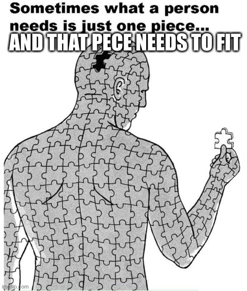 Sometimes what a person needs is just one piece | AND THAT PECE NEEDS TO FIT | image tagged in sometimes what a person needs is just one piece,not funny | made w/ Imgflip meme maker