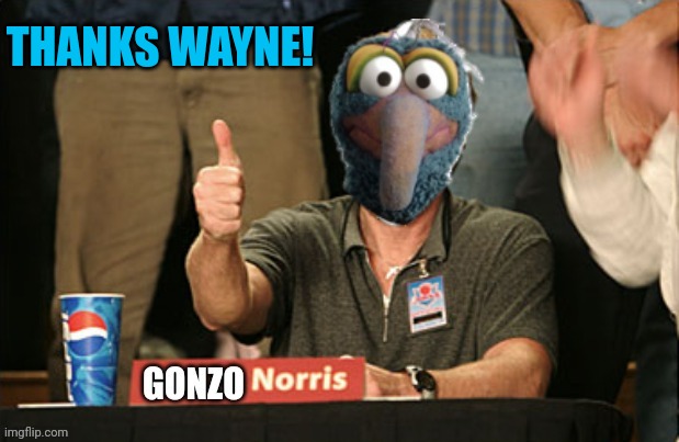 Gonzo Norris thumbs up | THANKS WAYNE! | image tagged in gonzo norris thumbs up | made w/ Imgflip meme maker